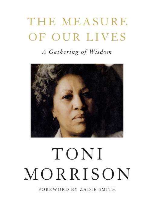Cover image for The Measure of Our Lives